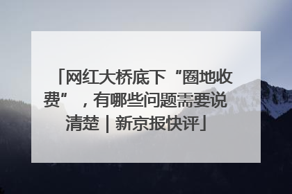 网红大桥底下“圈地收费”，有哪些问题需要说清楚｜新京报快评