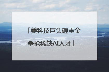 美科技巨头砸重金争抢稀缺AI人才