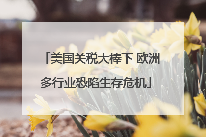 美国关税大棒下 欧洲多行业恐陷生存危机