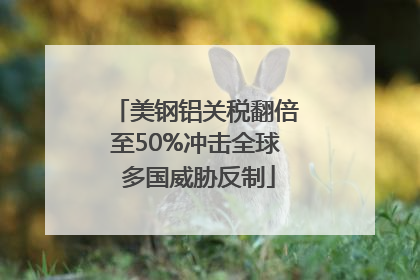 美钢铝关税翻倍至50%冲击全球 多国威胁反制