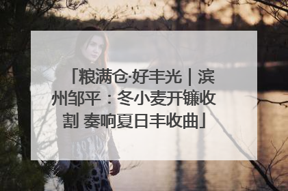 粮满仓·好丰光｜滨州邹平：冬小麦开镰收割 奏响夏日丰收曲