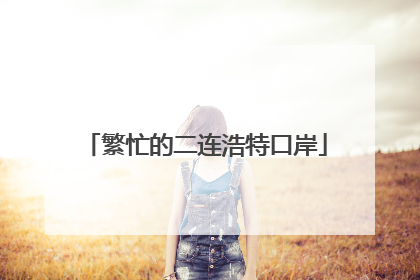 繁忙的二连浩特口岸