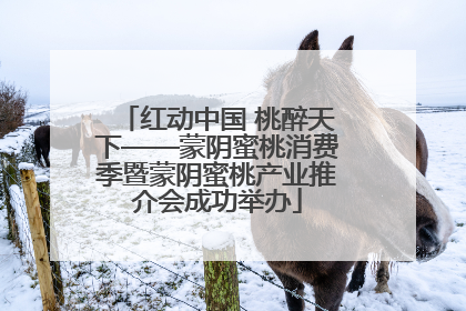 红动中国 桃醉天下——蒙阴蜜桃消费季暨蒙阴蜜桃产业推介会成功举办
