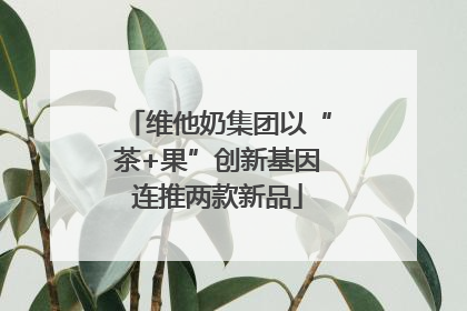 维他奶集团以“茶+果”创新基因连推两款新品