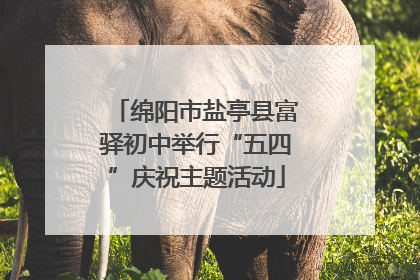 绵阳市盐亭县富驿初中举行“五四”庆祝主题活动
