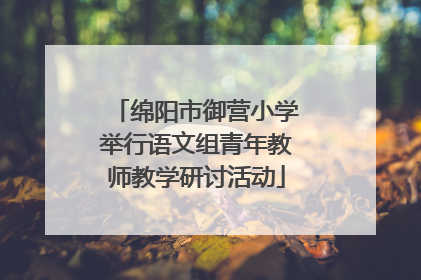 绵阳市御营小学举行语文组青年教师教学研讨活动