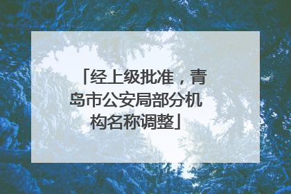 经上级批准，青岛市公安局部分机构名称调整