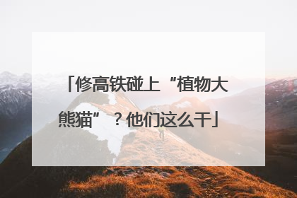修高铁碰上“植物大熊猫”？他们这么干