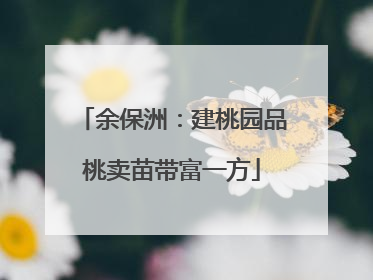 余保洲：建桃园品桃卖苗带富一方
