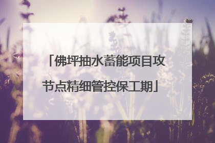 佛坪抽水蓄能项目攻节点精细管控保工期