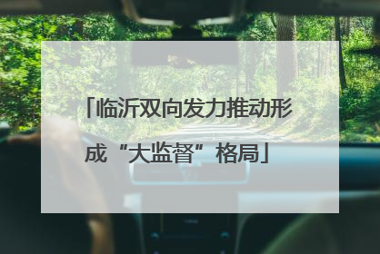 临沂双向发力推动形成“大监督”格局