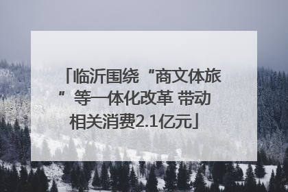 临沂围绕“商文体旅”等一体化改革 带动相关消费2.1亿元