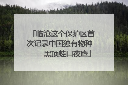 临沧这个保护区首次记录中国独有物种——黑顶蛙口夜鹰