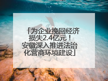 为企业挽回经济损失2.4亿元！安徽深入推进法治化营商环境建设