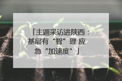 主题采访进陕西：基层有“智”理 应急“加速度”