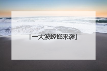 一大波螳螂来袭