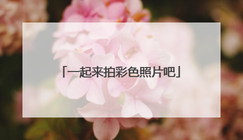 一起来拍彩色照片吧