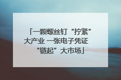 一颗螺丝钉“拧紧”大产业 一张电子凭证“链起”大市场