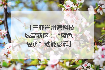 三亚崖州湾科技城高新区：“蓝色经济”动能澎湃