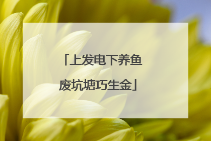 上发电下养鱼 废坑塘巧生金