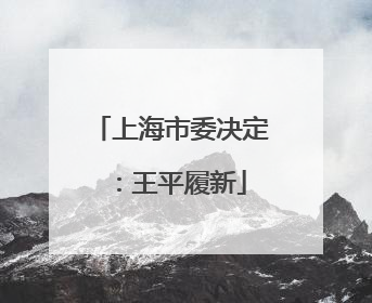 上海市委决定：王平履新