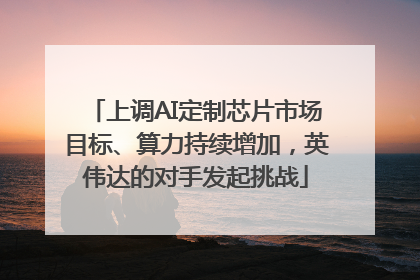 上调AI定制芯片市场目标、算力持续增加，英伟达的对手发起挑战