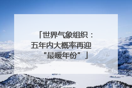世界气象组织：五年内大概率再迎“最暖年份”