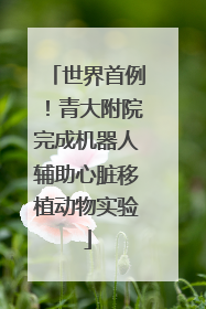世界首例！青大附院完成机器人辅助心脏移植动物实验