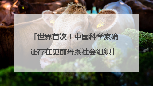 世界首次！中国科学家确证存在史前母系社会组织