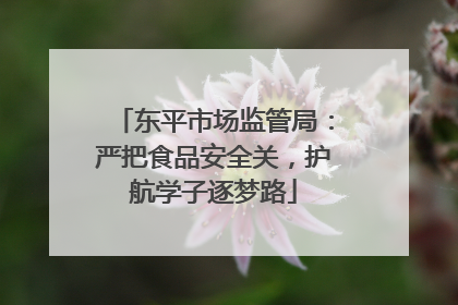 东平市场监管局：严把食品安全关，护航学子逐梦路
