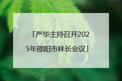 严华主持召开2025年邵阳市林长会议