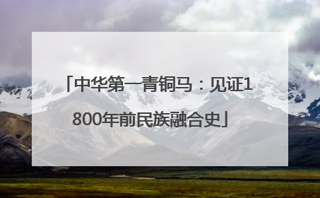 中华第一青铜马：见证1800年前民族融合史