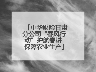 中华财险甘肃分公司“春风行动”护航春耕 保障农业生产