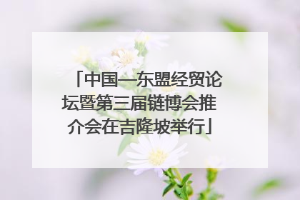 中国—东盟经贸论坛暨第三届链博会推介会在吉隆坡举行