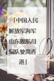 中国人民解放军海军山东舰航母编队驶离香港