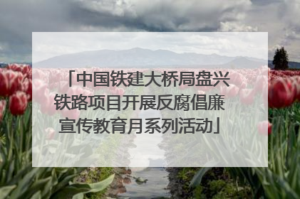 中国铁建大桥局盘兴铁路项目开展反腐倡廉宣传教育月系列活动
