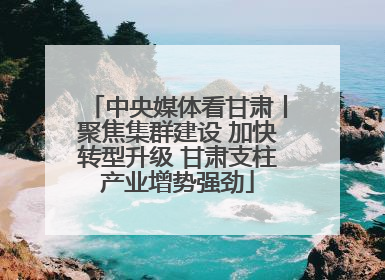 中央媒体看甘肃丨聚焦集群建设 加快转型升级 甘肃支柱产业增势强劲