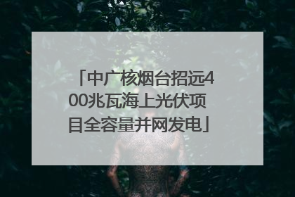 中广核烟台招远400兆瓦海上光伏项目全容量并网发电