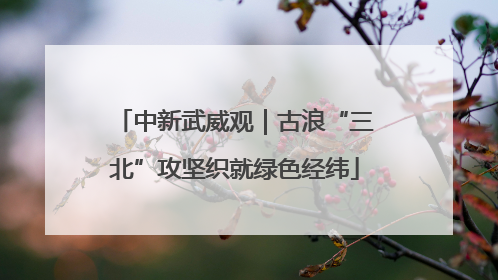 中新武威观｜古浪“三北”攻坚织就绿色经纬