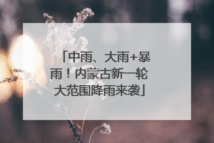中雨、大雨+暴雨！内蒙古新一轮大范围降雨来袭