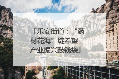 乐安街道：“药材花海”绽希望 产业振兴鼓钱袋