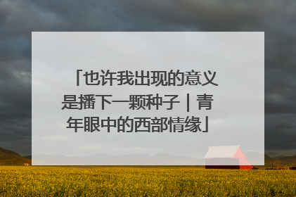 也许我出现的意义是播下一颗种子｜青年眼中的西部情缘