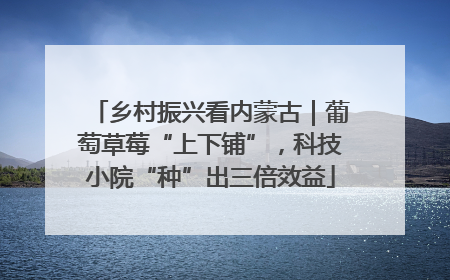 乡村振兴看内蒙古｜葡萄草莓“上下铺”，科技小院“种”出三倍效益