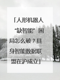 人形机器人“缺智能”困局怎么破？具身智能数据联盟在沪成立