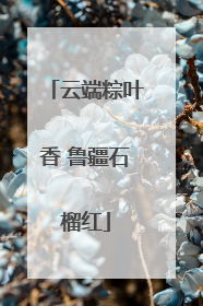 云端粽叶香 鲁疆石榴红