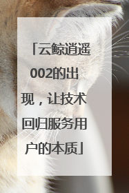 云鲸逍遥002的出现，让技术回归服务用户的本质