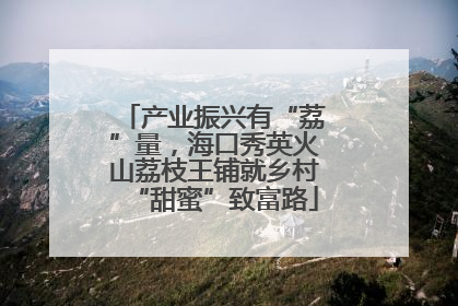 产业振兴有“荔”量，海口秀英火山荔枝王铺就乡村“甜蜜”致富路