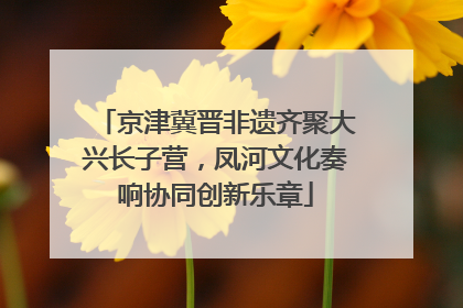 京津冀晋非遗齐聚大兴长子营，凤河文化奏响协同创新乐章