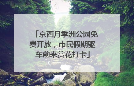 京西月季洲公园免费开放，市民假期驱车前来赏花打卡