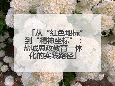 从“红色地标”到“精神坐标”：盐城思政教育一体化的实践路径